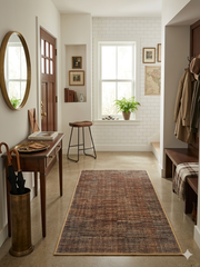 2' x 4' Runner Brown & Beige Distressed Abstract Modern Area Rug styled in a modern entryway.