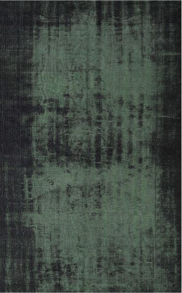 8' x 10' Charcoal Black Forest Green Traditional Persian Rug top-down view showcasing the abstract distressed design in forest green and charcoal black tones.