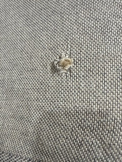 Size 5' x 8' Light Tan, Dark Tan, Honey Comb Diamonds Rizzy Rugs Rockport Area Rug