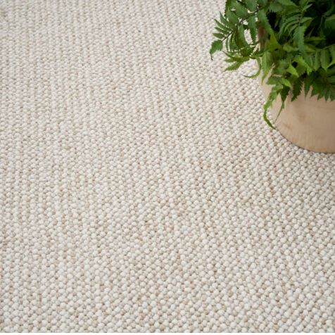 8' x 10' Natural Texture Ivory Beige Area Rug