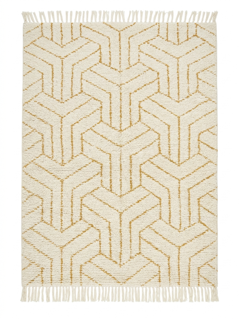 5' x 7' Area Rug