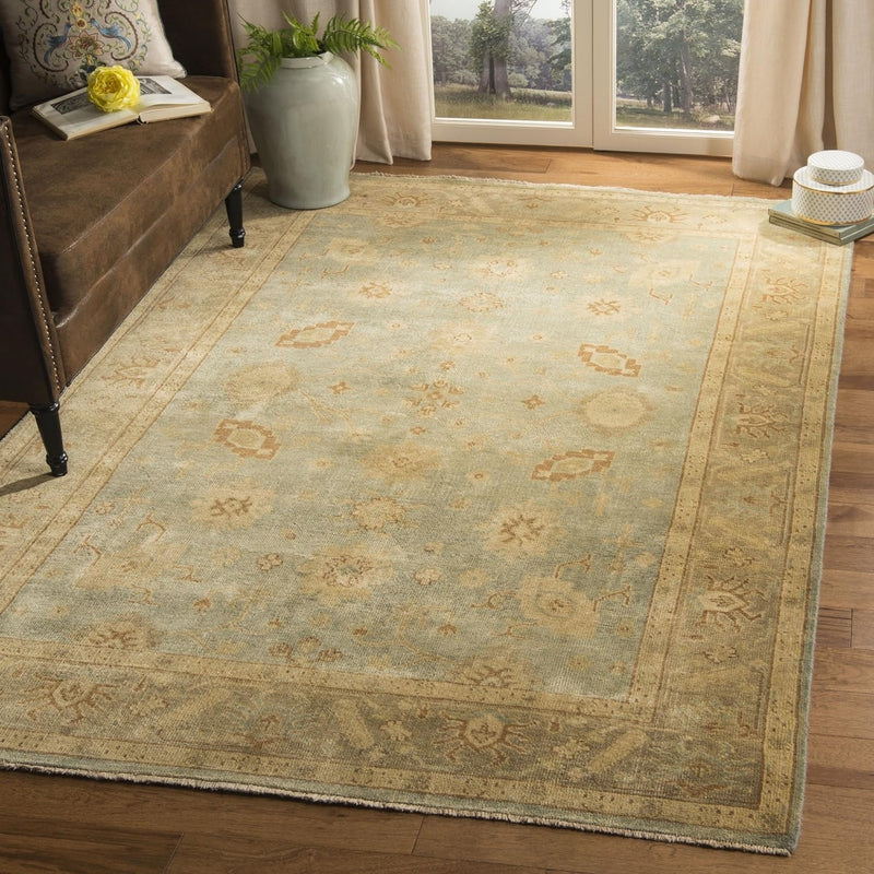 6' x 9' Hand Made Wool Light Blue / Beige Safavieh Area Rug