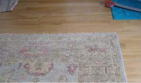 SAFAVIEH Hand-Knotted Samarkand Olivette Traditional Wool Rug - 6' x 9' - Light Blue/Sage