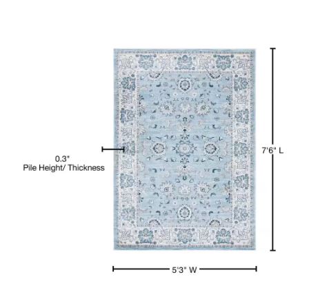 5 ft. x 8 ft. Light Blue/Cream Speckled Floral Border Isabella Area Rug by SAFAVIEH