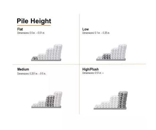 5 ft. x 8 ft. Light Blue/Cream Speckled Floral Border Isabella Area Rug by SAFAVIEH