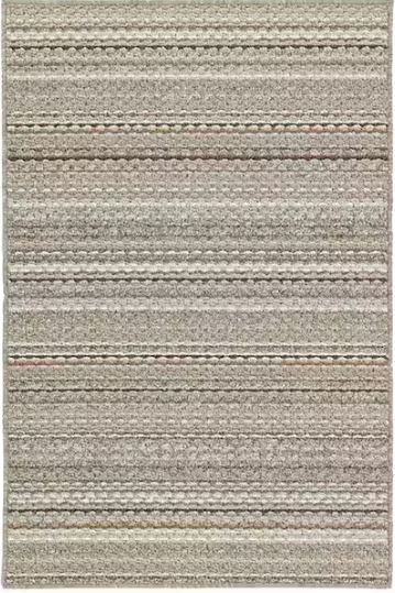 Carnival Stripe Earthtone 5 ft. x 7 ft. Area Rug