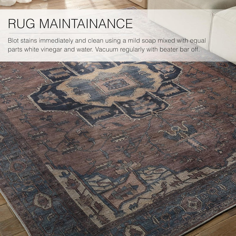 10.6ft x14ft Jaipur Living Soft  Large Area Rug, Boho, Blue/Dark Brown