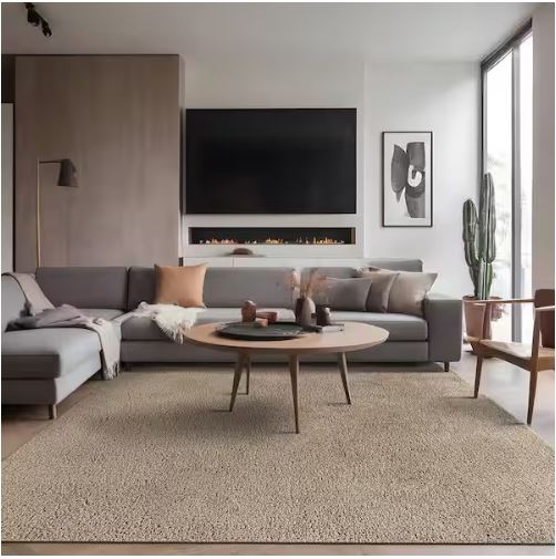 6 ft. x 9 ft. Beige Silky Solid Plus Thick Pile Non Slip Easy Clean Non Shedding Modern Indoor Area Rug