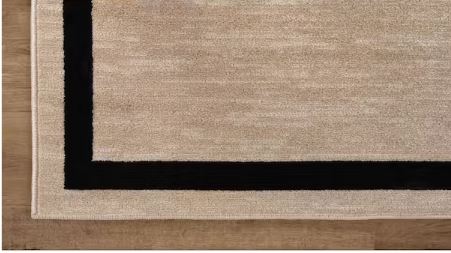 8 ft. x 10 ft. Aura Beige Washable Modern Bordered Indoor Area Rug