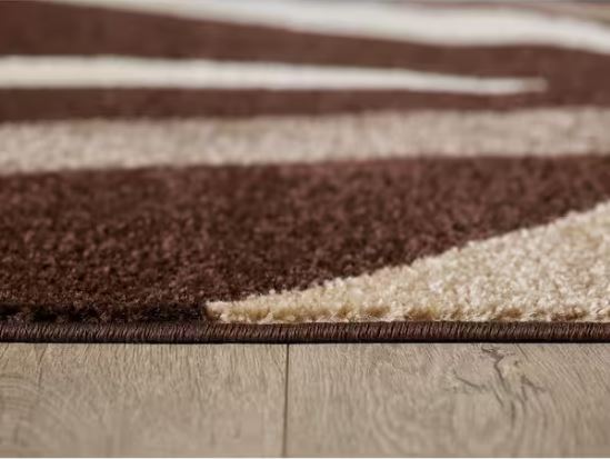 8 ft. x 10 ft. Abigail Brown Graphic Area Rug