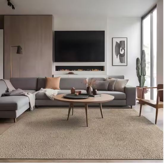 8 ft. x 10 ft. Beige Silky Solid Plus Thick Pile Non Slip Easy Clean Non Shedding Modern Indoor Area Rug