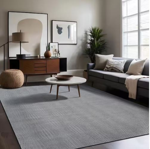 8 ft. x 10 ft. Serenity Gray Solid Modern Non Skid Soft Indoor Area Rug