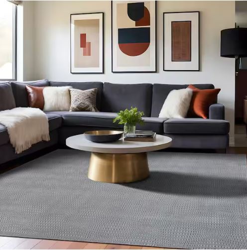 8 ft. x 10 ft. Serenity Gray Solid Modern Non Skid Soft Indoor Area Rug