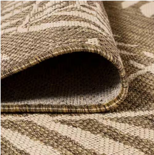 8 ft. x 10 ft. Nevis Palm Frond Brown/Beige Indoor/Outdoor Area Rug