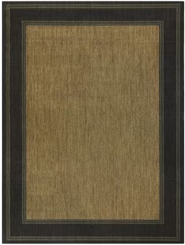 4 x 6 Black/Brown Border Indoor/Outdoor Area Rug