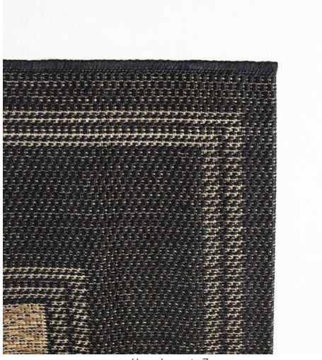 4 x 6 Black/Brown Border Indoor/Outdoor Area Rug