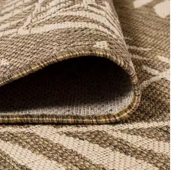 5 ft. x 8 ft. Nevis Palm Frond Brown/Beige Indoor/Outdoor Area Rug