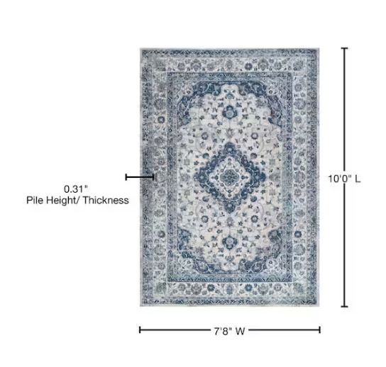 Indhira Blue/Gray 8 ft. x 10 ft. Ornate Medallion Persian Area Rug