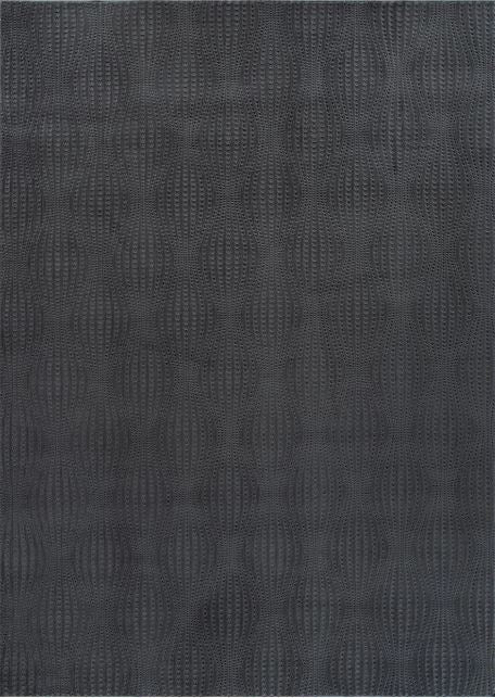 5X7 - Dark Gray Beverly Rug Serenity Solid Modern Non Slip Soft Indoor Area Rug