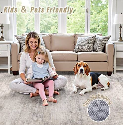 6 ft. x 9 ft. Aurora Beige/Gray Modern Abstract Area Rug