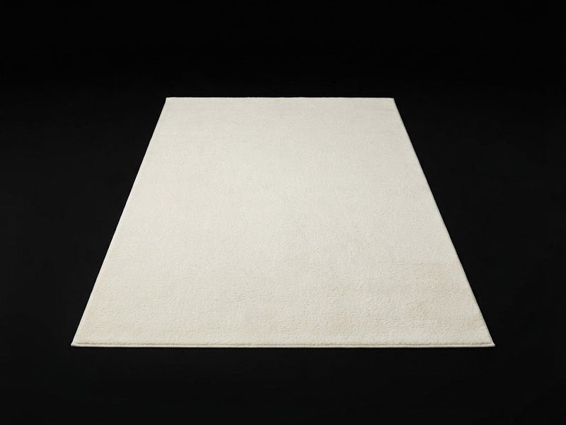 3' x 5' Area Rug