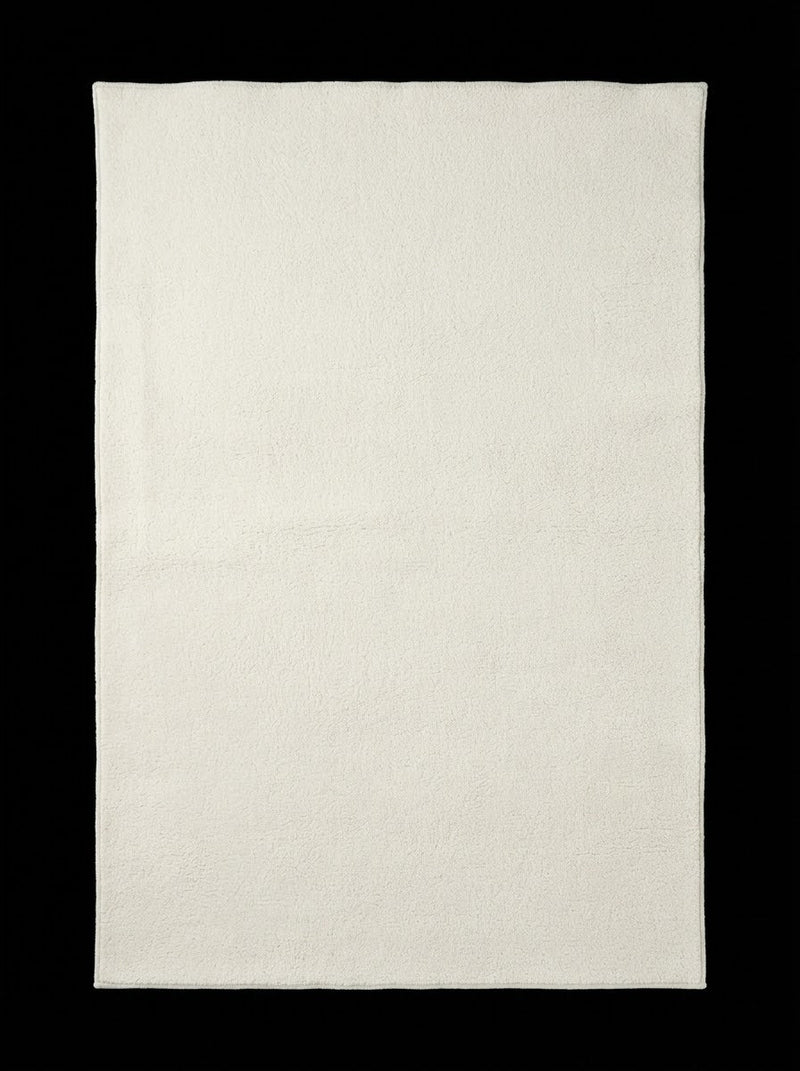4' x 6' Area Rug