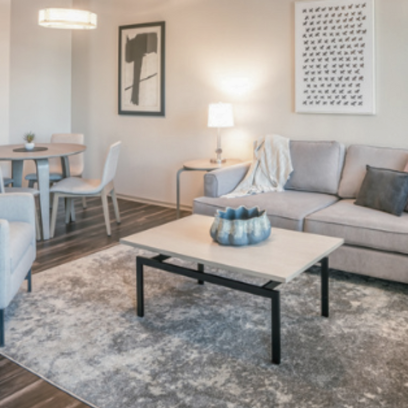 8'x10' Large Cream/Grey Ultra Soft  Micro-Shag Area Rug