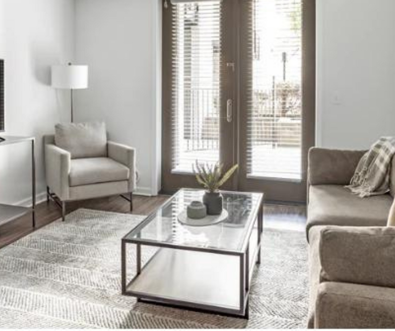 8'x10' Large Gray & White Ultra Soft Micro Shag Area Rug