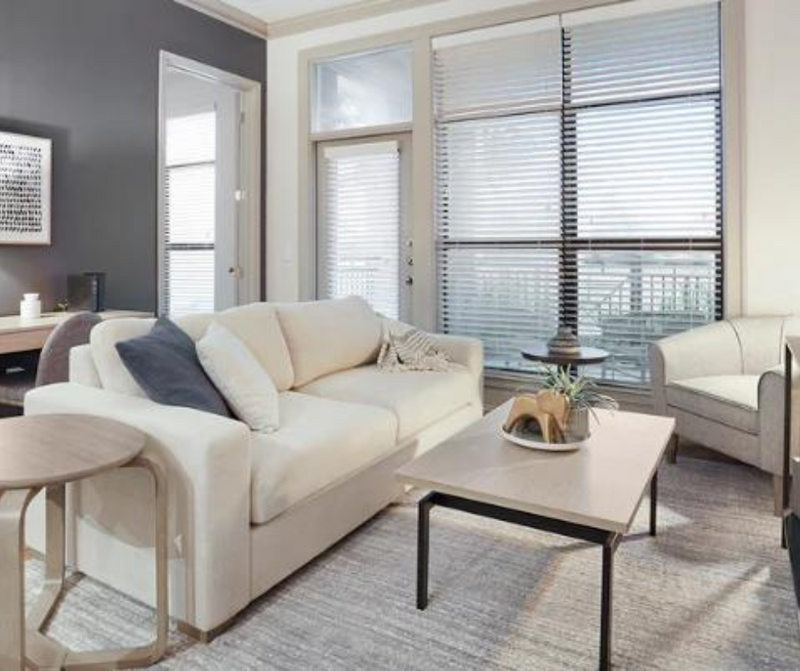 8'x10' Large Grey Ultra Soft Elegant Transitional Mico Shag Area Rug