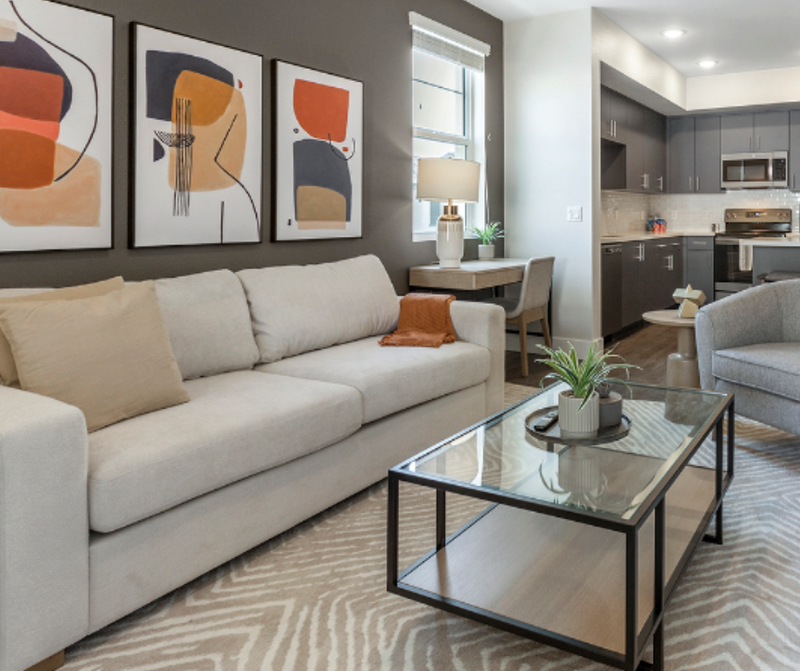 8'x10' Large Modern Zebra Print Ultra Soft Micro-Shag Area Rug