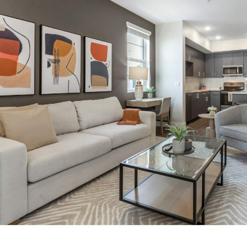 8'x10' Large Modern Zebra Print Ultra Soft Micro-Shag Area Rug