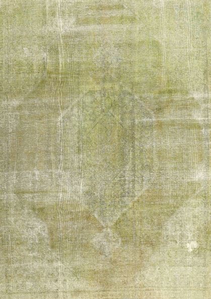 6x9 Copper Green Traditional Persian Rug