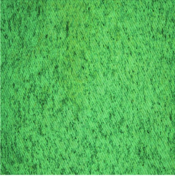 5x7 Neon Green Patterned Rug