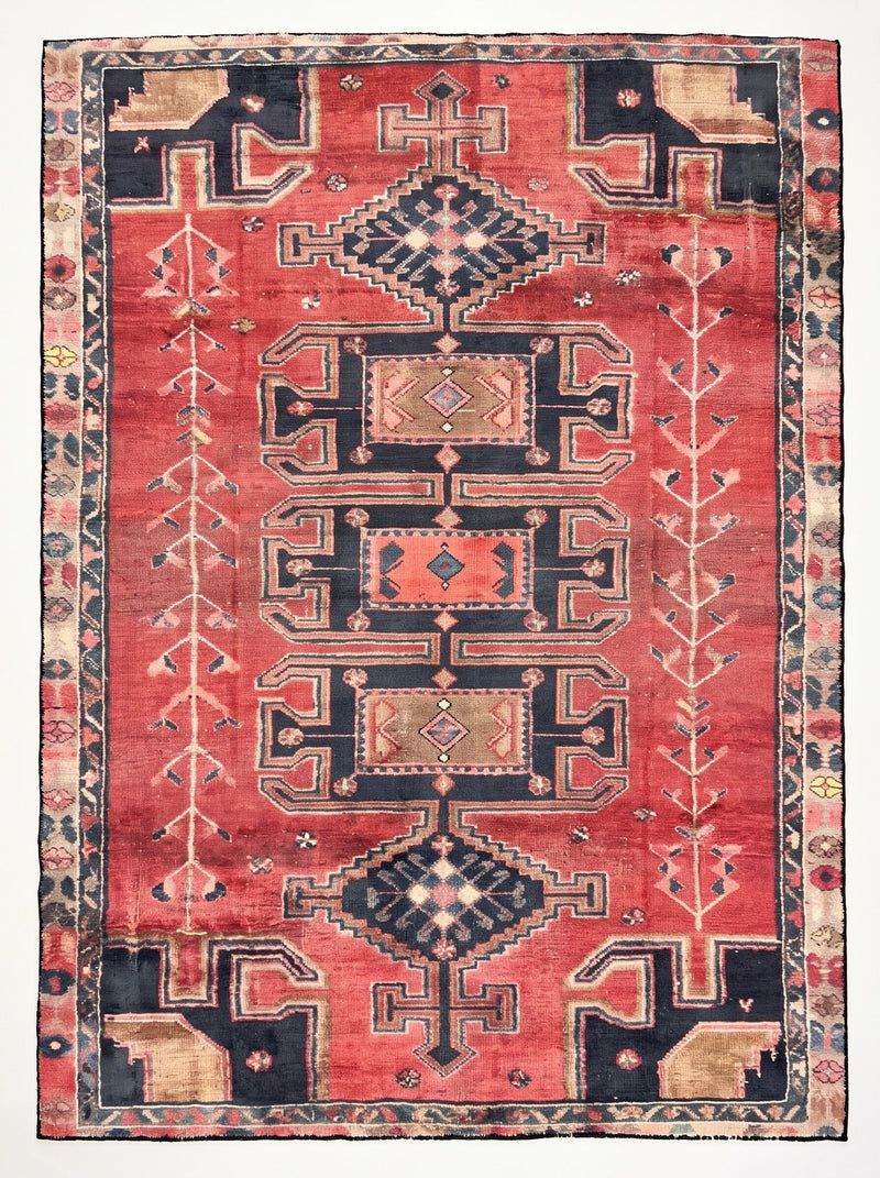 5' x 8' Area Rug