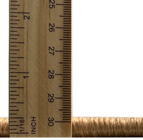 Size 2x5 Runner Saffron Red Traditional Persian Rug