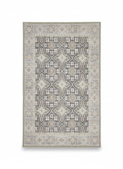 Rectangular 2' x 3' area rug featuring a subtle geometric medallion pattern in soft gray, beige, and ivory tones with a lightly distressed transitional design.